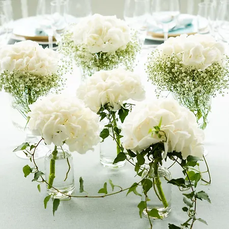 Eurostars Real 5* Santender